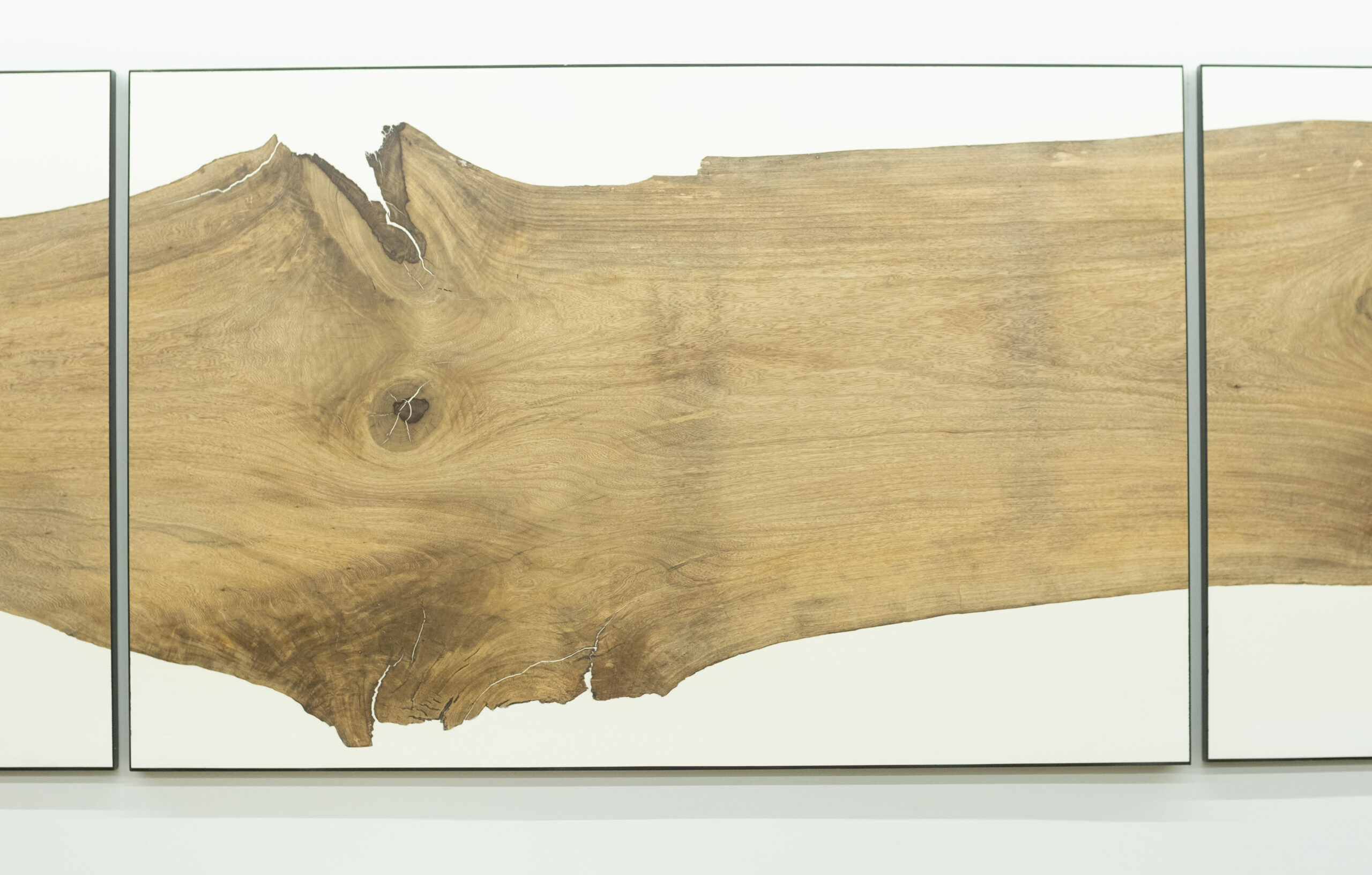 Natural Causes_01